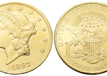 20 Dollari USA Liberty