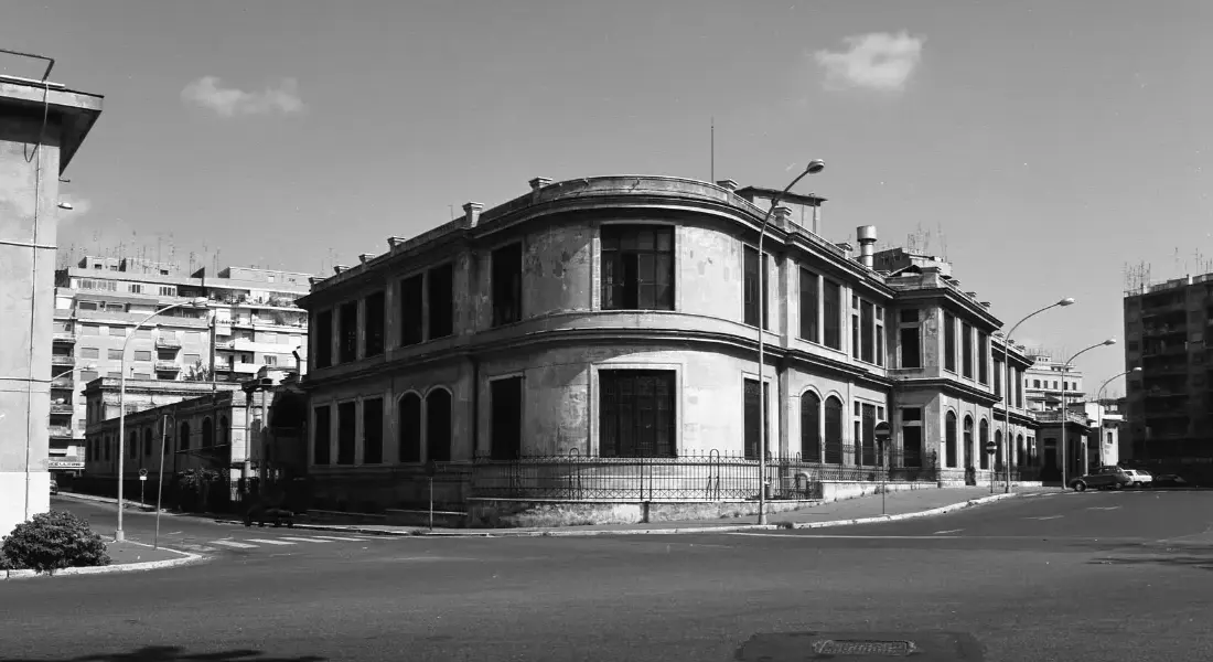 Cosa sono i segni di Zecca