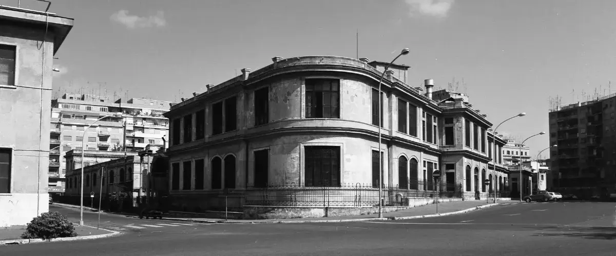 Cosa sono i segni di zecca